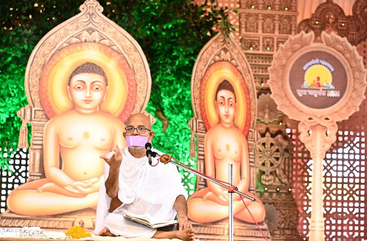 वनस्पति के प्रति भी रखें समता और अनासक्ति का भाव : आचार्यश्री महाश्रमण 